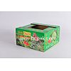 Fruit Packaging Box